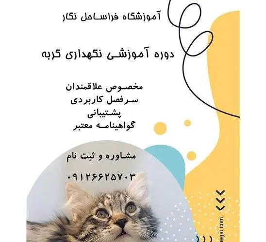 دوره تخصصی آموزش نگهداری گربه