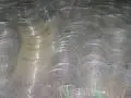 ضایعات طلق
