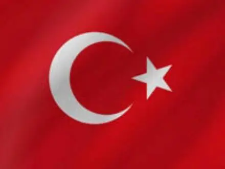 مترجم همزمان ترکی استانبولی