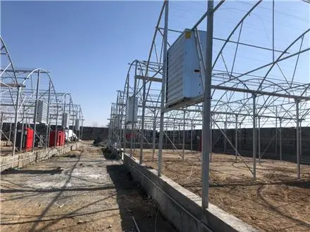 احداث و ساخت گلخانه هوشمند در سراسر ایران