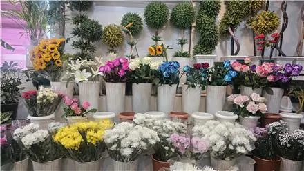 گل فروشی ایران گل