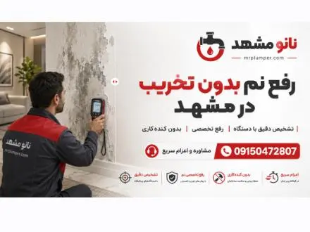 رفع نم زدگی و رطوبت مشهد