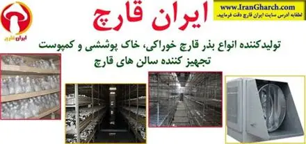 ایران قارچ تامین کننده کمپوست قارچ دکمه ای،خاک پوششی و بذر قارچ دکمه ای از بهترین کارخانه های