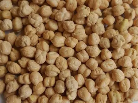 فروش نخود آبگوشتی