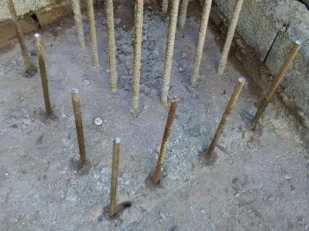 کاشت میلگرد در مازندران
