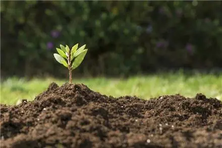 خاک باغچه درجه یک مناسب باغبانی ، گلخانه ها، حیاط و باغچه