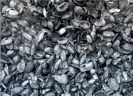 کربن انواع پوست پسته،گردو،بادام و زردآلو