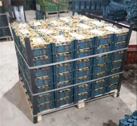 فروش نبشی پلاستیکی ، نبشی مقوایی ، نبشی بسته بندی ، تولید نبشی مقوایی