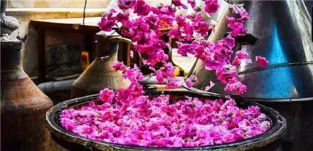 تولید کننده گلاب دوآتیشه سنتی صادراتی کعبه قمصر کاشان