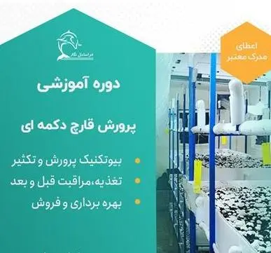 دوره آموزشی پرورش قارچ دکمه ای
