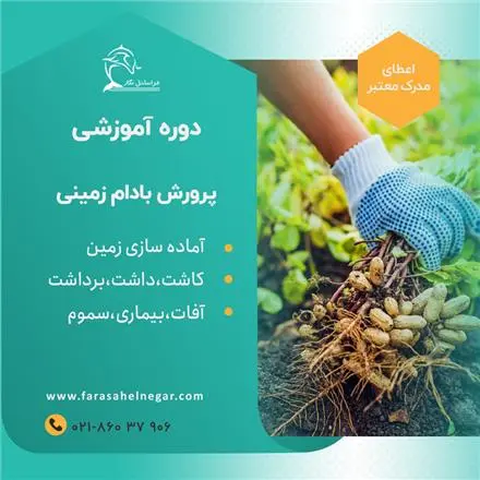 دوره آموزشی پرورش بادام زمینی