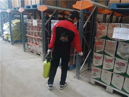 شرکت تخصصی سمپاشی زیسپاک