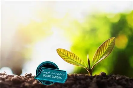 کوچینگ توسعه فردی و موفقیت
