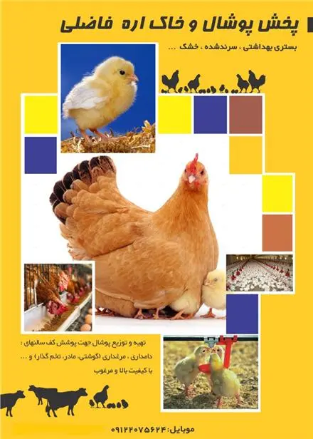 فروش پوشال سرند شده مرغداری و دامداری فاضلی