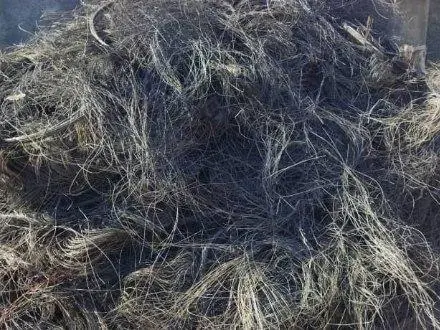 خریدار سیم سوخته شده در بیابان ( سیم نرمه)