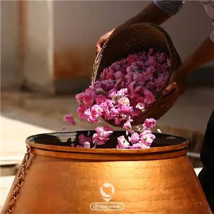 کاملترین تولید کننده اقلام عطاری و محصولات سنتی پخش سراسری در کشور