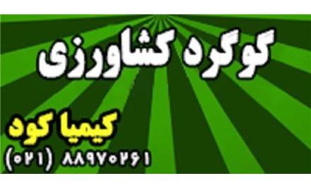 گوگرد کشاورزی