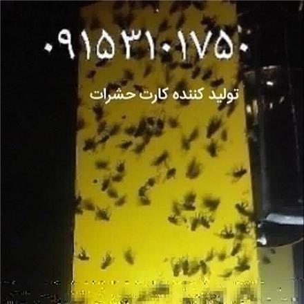 فوم پلی اتلین سایلنت تاتامی ورزشی عایق