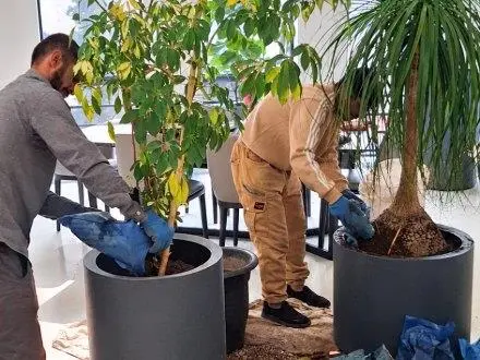 خدمات باغبانی سیار احمدی در تمام نقاط تهران