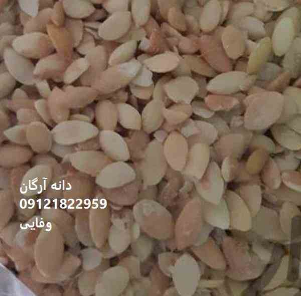 فروش دانه آرگان،ماکادمیا،جوجوبا