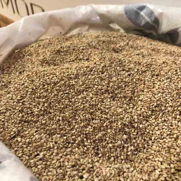 فروش کنجد(نانوایی- روغن گیری-قنادی)