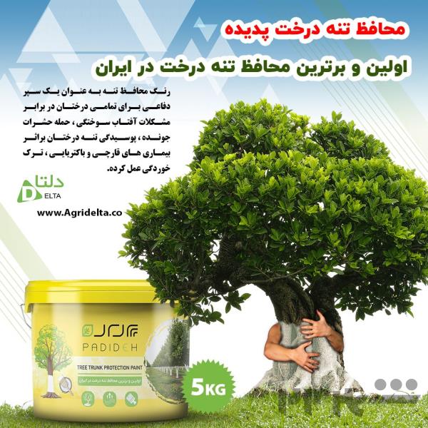 رنگ محافظ تنه پدیده