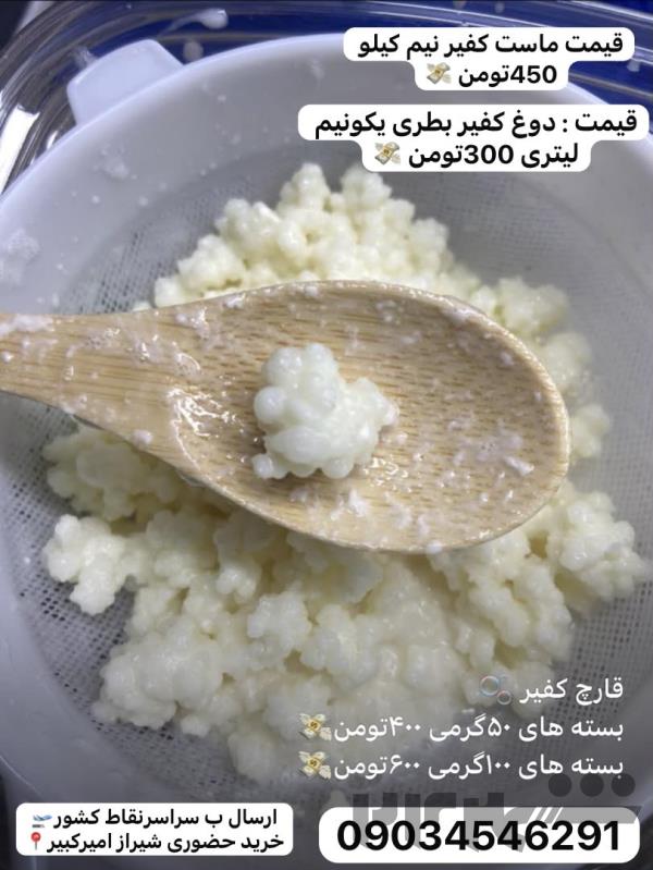 فروش قارج کفیر