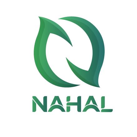 طراحی سایت در شهر قدس