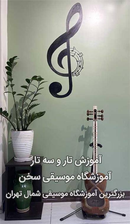 تدریس خصوصی تار و سه تار (قیطریه)