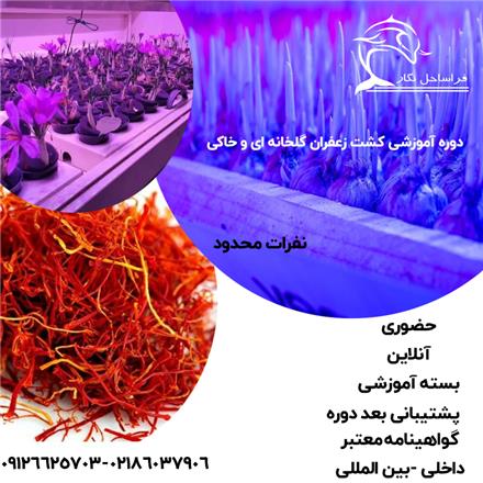 کلاس آموزشی زعفران آیروپونیک