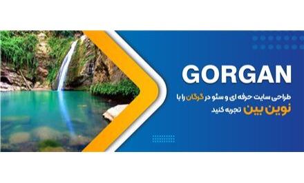 طراح سایت حرفه ای در گرگان