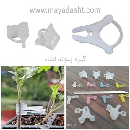 گیره پیوند نشاء