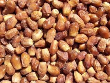 فروش خرمای زاهدی درجه یک