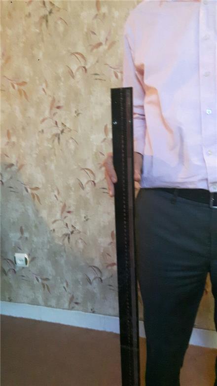 خط‌کش سربی اسکنوگرام، خط‌کش پرتو نگاری