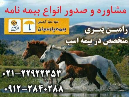 صدور تخصصی بیمه اسب ، مشاوره و صدور انواع بیمه نامه