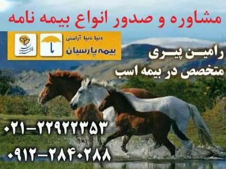 صدور تخصصی بیمه اسب ، مشاوره و صدور انواع بیمه نامه