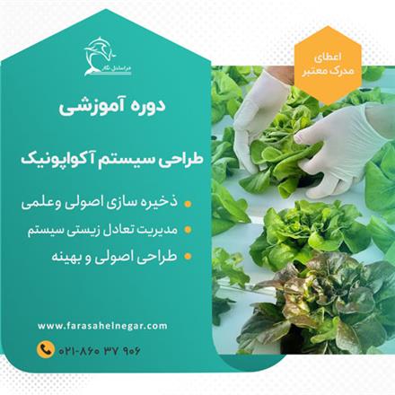 آموزش صفر تا صد راه اندازی کشت آکواپونیک