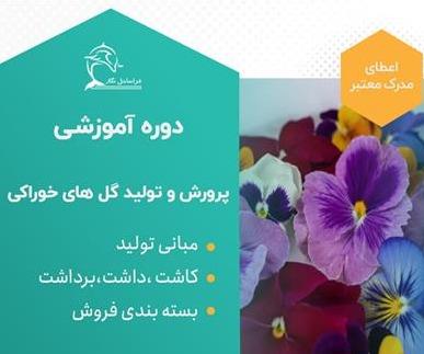 دوره آموزشی تولید گل های خوراکی، صفر تا صد تولید