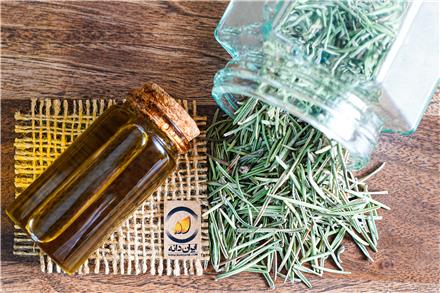 فروش روغن رزماری خالص