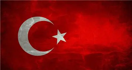 مترجم و مدرس ترکی استانبولی در اصفهان