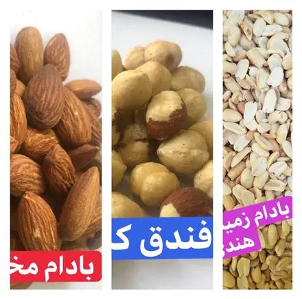 فروش انواع مغز های کره گیری