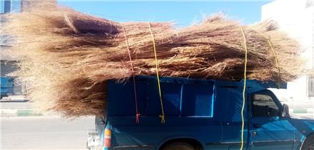 جارو شهرداری رفتگری چوبی