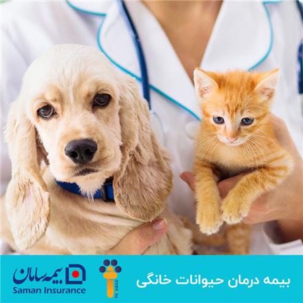 بیمه حیوانات خانگی در بیمه سامان