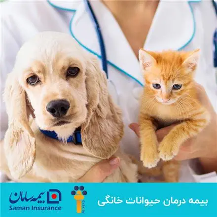 بیمه حیوانات خانگی در بیمه سامان
