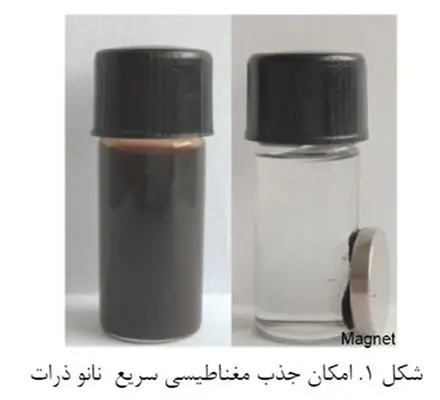 ذرات مغناطیسی برای خالص سازی هیس تاگ پروتئینها