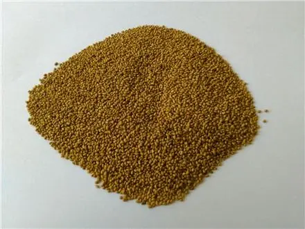 فروش بذر یونجه اصیل همدانی