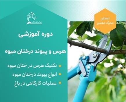 دوره آموزش حرفه ای هرس و پیوند درختان میوه