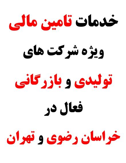 خدمات تامین مالی شرکتهای فعال درحوزه محصولات شیمیایی