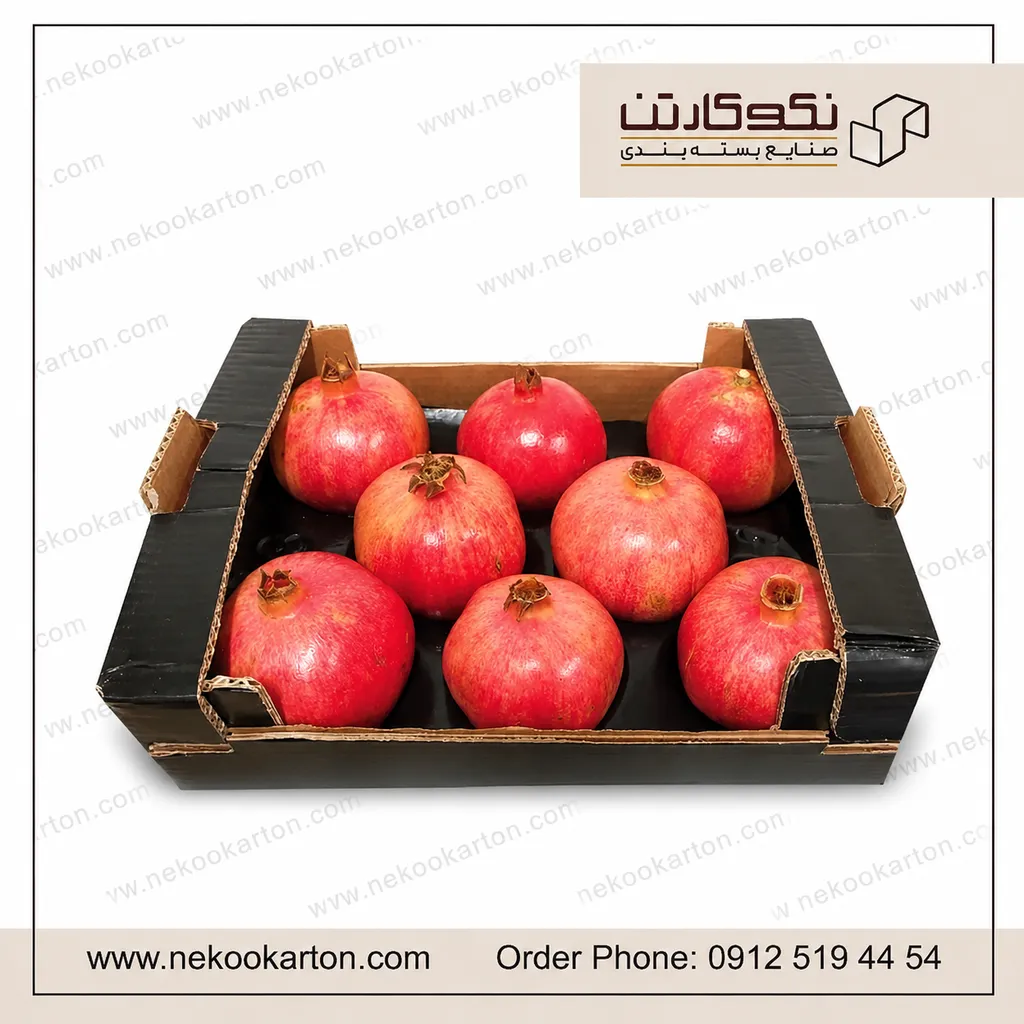 کارتن انار صادراتی