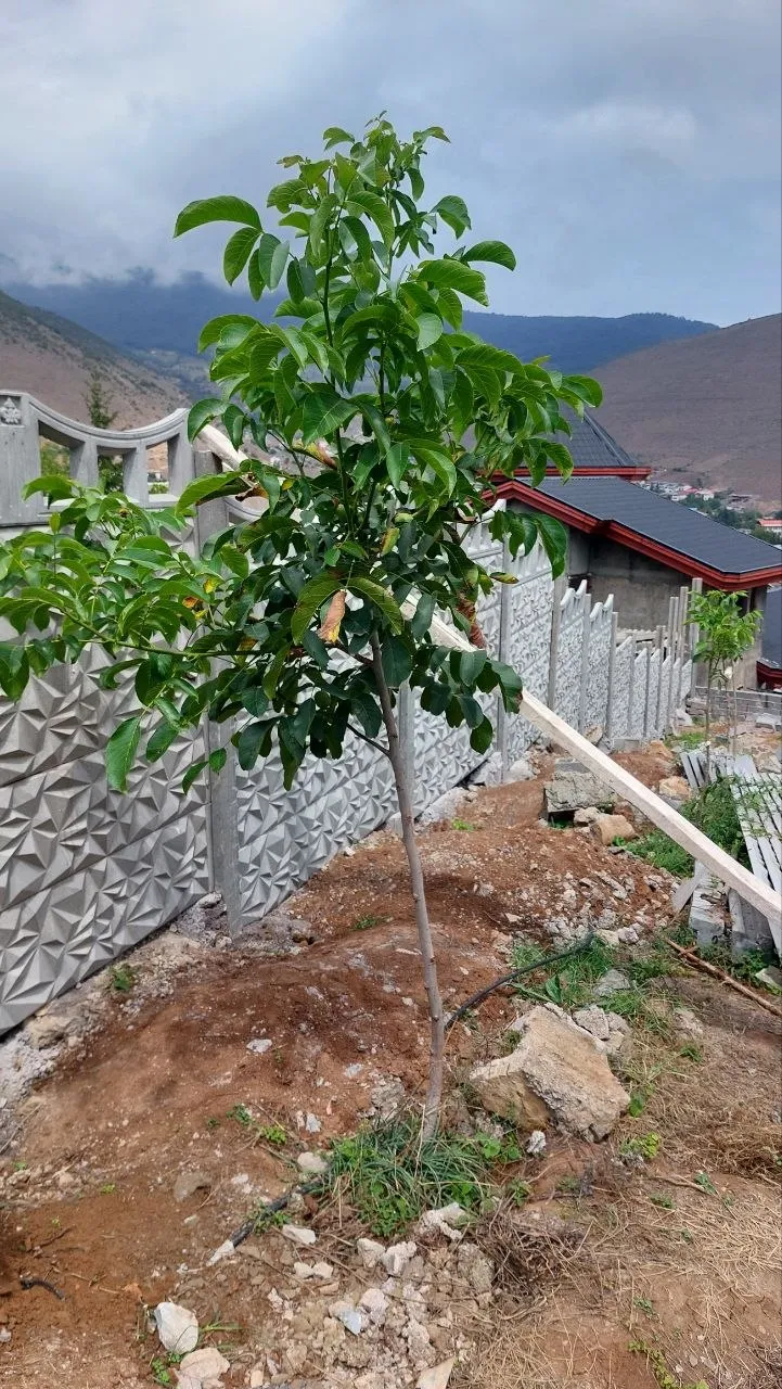 دیوار پیش ساخته بتنی مهسور - تصویر 9